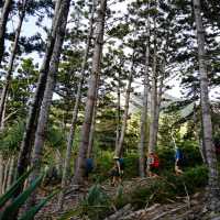 The Ngaro Track, Whitsunday Islands |  Matt Horspool
