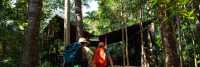 Tree camping area, The Ngaro Track, Whitsunday Islands |  Matt Horspool
