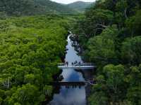 The Ngaro Track, Whitsunday Islands |  Matt Horspool