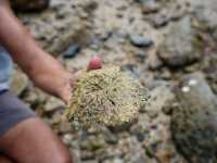 The Ngaro Track, Whitsunday Islands |  Matt Horspool