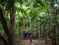 The Ngaro Track, Whitsunday Islands |  Matt Horspool