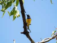 The Ngaro Track, Whitsunday Islands |  Matt Horspool