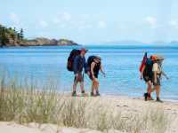 The Ngaro Track, Whitsunday Islands |  Matt Horspool