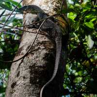 The Ngaro Track, Whitsunday Islands |  Matt Horspool