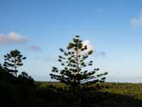The Ngaro Track, Whitsunday Islands |  Matt Horspool