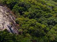 The Ngaro Track, Whitsunday Islands |  Matt Horspool