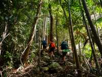 The Ngaro Track, Whitsunday Islands |  Matt Horspool