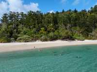 The Ngaro Track, Whitsunday Islands |  Matt Horspool