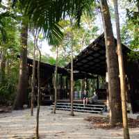 The Ngaro Track, Whitsunday Islands |  Matt Horspool
