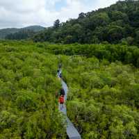 The Ngaro Track, Whitsunday Islands |  Matt Horspool