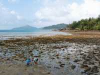 The Ngaro Track, Whitsunday Islands |  Matt Horspool