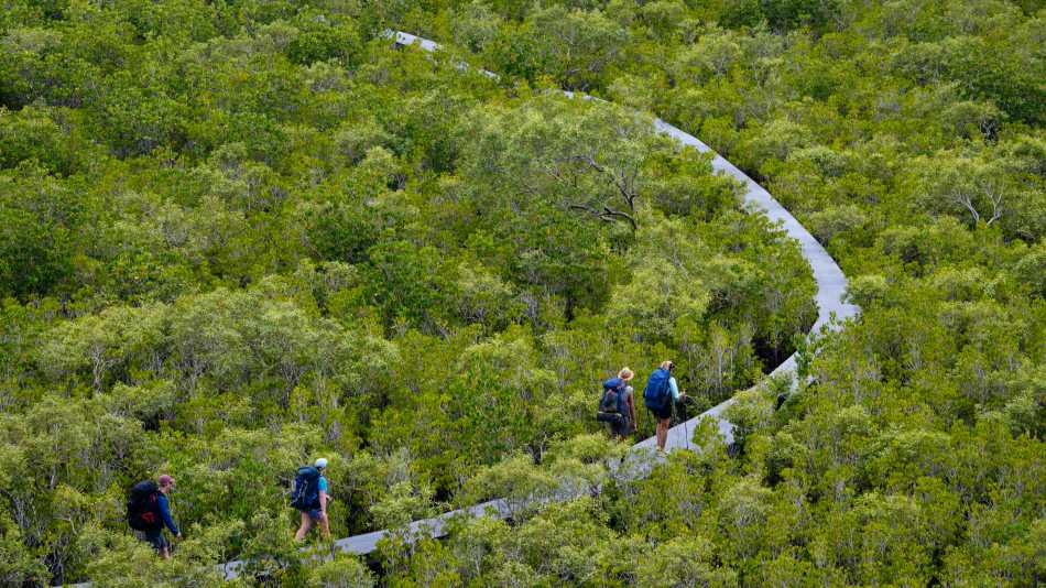 The Ngaro Track, Whitsunday Islands | Matt Horspool