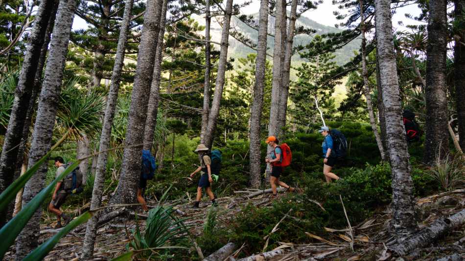The Ngaro Track, Whitsunday Islands | Matt Horspool