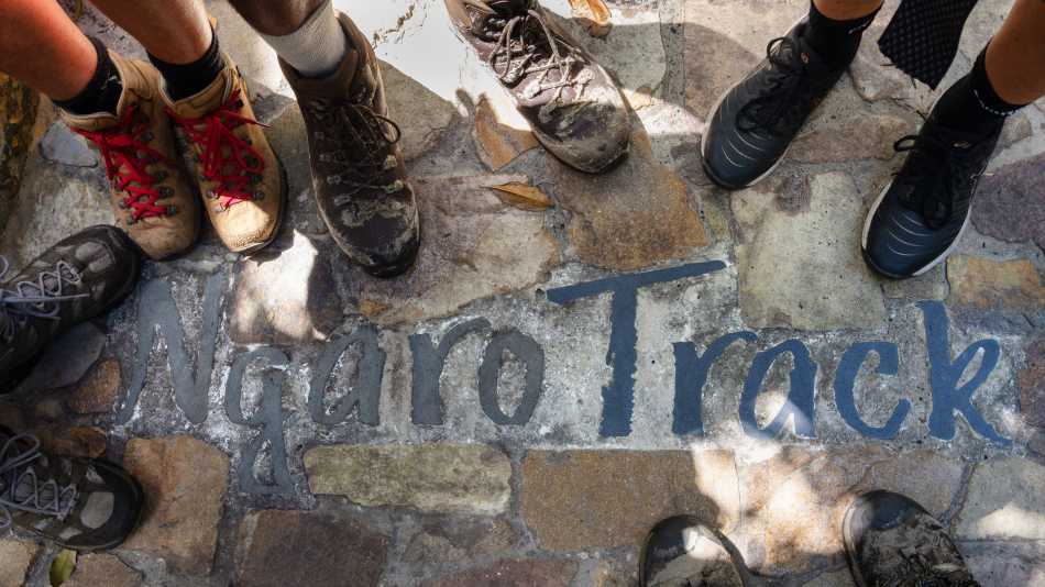 The Ngaro Track, Whitsunday Islands | Matt Horspool