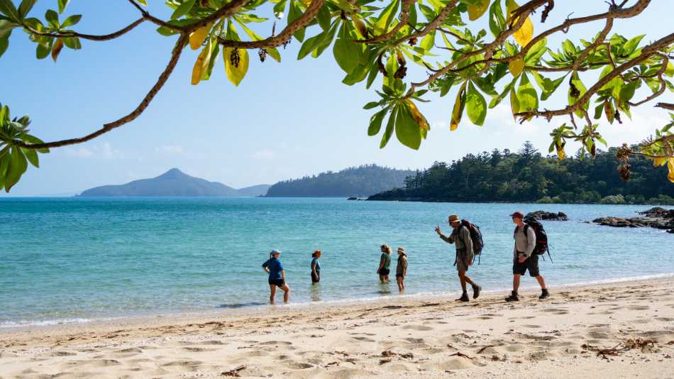 The Ngaro Track, Whitsunday Islands | Matt Horspool